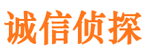 加查市私家侦探